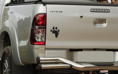 African Paw Print