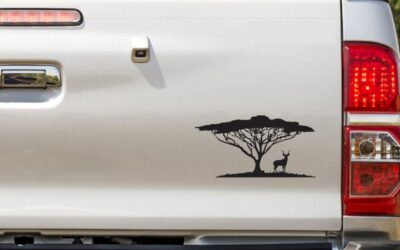 Kudu in Shadow