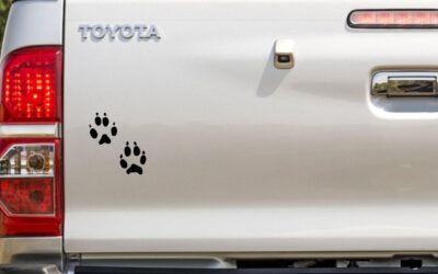 Paw Prints