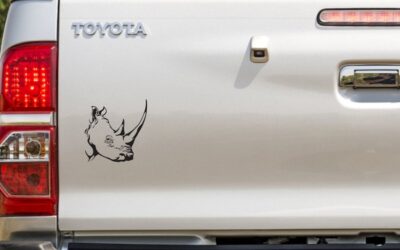 Rhino Skull